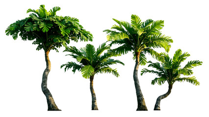 Tall trees isolated on transparent background. AI-generated