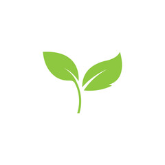 Green leaf logo icon