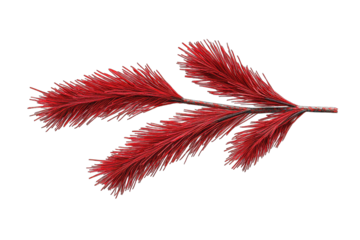 Red decorative pine branch