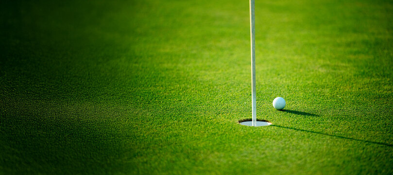 A golf ball is sitting in a hole on a green field