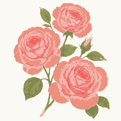 Watercolor style pink rose bouquet with leaves and a bud.