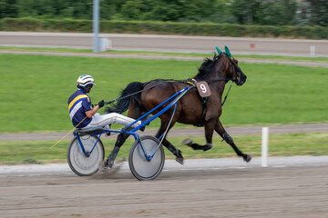 Modena, Italy – 05 18 2025: Racing horses trots and rider on a track of stadium. Competitions for trotting horse racing. Horses compete in harness racing. Horse runing at the track with rider.
