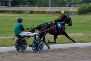 Modena, Italy – 05 18 2025: Racing horses trots and rider on a track of stadium. Competitions for trotting horse racing. Horses compete in harness racing. Horse runing at the track with rider.
