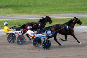 Modena, Italy – 05 18 2025: Racing horses trots and rider on a track of stadium. Competitions for trotting horse racing. Horses compete in harness racing. Horse runing at the track with rider.
