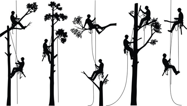 Tree climbing arborist silhouette vector, tree cutting worker clipart, pruning illustration set, arbor work graphic, rope climbing man design, safety gear icons