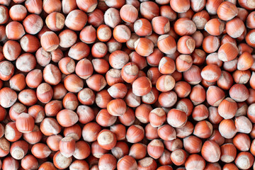 Lots of hazelnuts scattered on the surface create a textured food background to showcase concepts related to healthy eating, snacking or baking.
