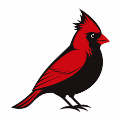 Northern Cardinal silhouette black color bird on white background