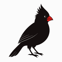 Northern Cardinal silhouette black color bird on white background
