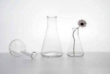 laboratory flasks and a flower on a table on a white background