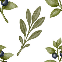 Seamless pattern with belladonna twigs and green leaves. Botanical watercolor drawing. Hand-painted poisonous plant on white background. Ideal for textiles, packaging, and digital backgrounds.