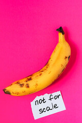 Banana lying next to a torn paper note reading not for scale, colorful pop art style with visual pun. High quality photo
