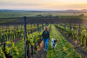 woman walking in vineyard at sunset