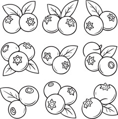 Set of blueberry