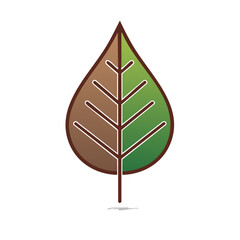 Half Brown Half Green Leaf Icon Symbolizes Change Seasons in Nature Graphic Vector Illustration