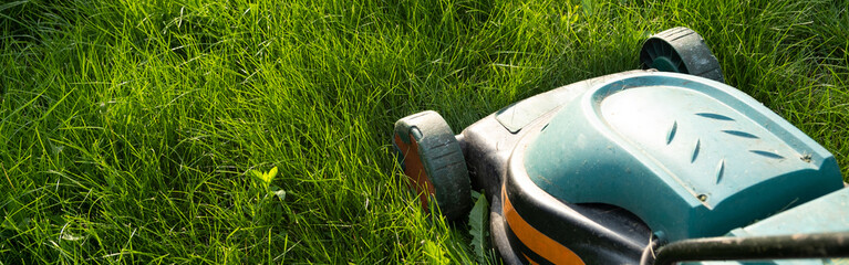 Freshly cut thick grass on the lawn, sunny day at sunset, low angle view. Green grass in the...