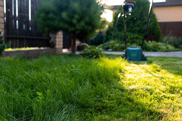 Border of the mown grass  on the lawn, sunny day at sunset, low angle view. Green grass in the...