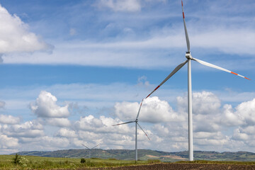Energy-producing fans. Wind farm or field.