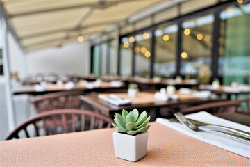 tranquil outdoor restaurant setting with modern canopy