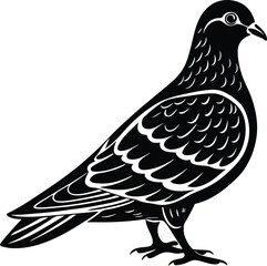 Fototapeta premium Elegant Black and White Pigeon Illustration A Classic Bird Design