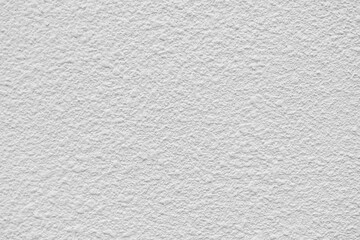 White Rough Plastered Wall Surface Texture