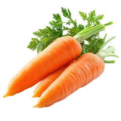 Fresh orange carrots with green tops showcasing natural beauty in a garden setting transparent background, cutout PNG
