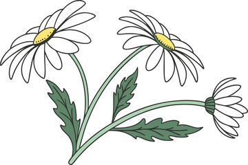 Daisy Flower Illustration Design. Hand Drawn Daisy Flower Art. Beautiful Daisy Blossom Drawing. Elegant Daisy Flower Composition. Colorful Daisy Floral Artwork. Flat Style Daisy Flower Design