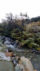 Autumn Colours at Cerro Martial, Ushuaia, Argentina
