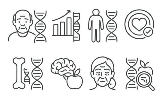 DNA Nutrition Icons. Line style icons of DNA-based nutrition: age-related gene nutrition, aging response chart, senior metabolism