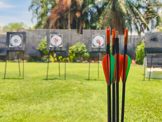 Close up to feather end of archery arrows at outdoor archery shooting range. Archery equipment....