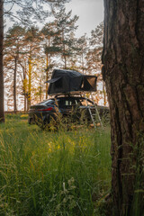 A modern SUV with a foldable rooftop tent is parked in a forest clearing. Tall grass, pine trees, and sunlight filtering through create a serene scene.