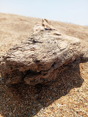 old artistic wood on sand under the sun
