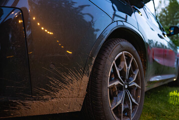 Rear view of a modern SUV with alloy wheels and mud splatters, parked on grass. Blurred trees in the background suggest a forest setting.