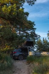A modern SUV with an open foldable rooftop tent is parked among tall pine trees. A metal guardrail is visible, suggesting a nearby road or path.