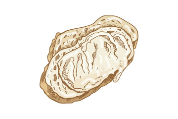 Hand drawn vintage sketch of slice of bread with butter in color, isolated food illustration on white background