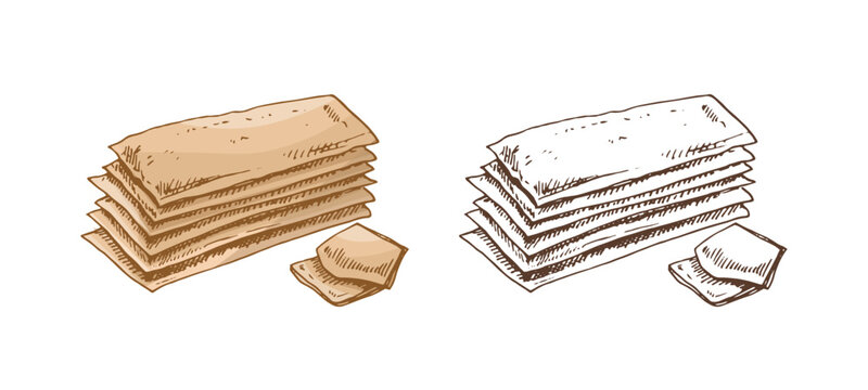 Vector hand drawn illustration of crispbread. Brown and white pastry drawing isolated on white background. Sketch icon and bakery element for print, web, mobile and infographics.