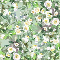 seamless pattern with jasmine white flowers