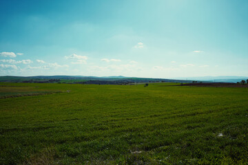 green field and blue sky