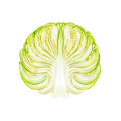 Obraz premium Cross Section of a Fresh Savoy Cabbage, Detailed Macro Shot
