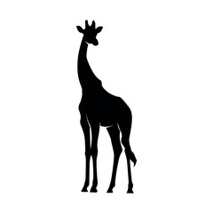 Black silhouette of giraffe animal. Animal symbol