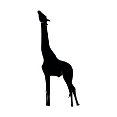 Black silhouette of giraffe animal. Animal symbol