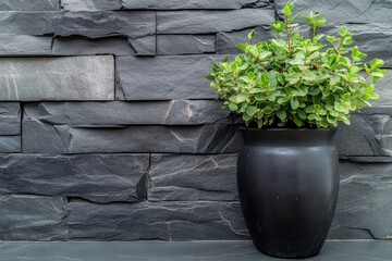 Modern Smooth Grey Stone Wall with Potted Plant for Stylish Interior Decoration or Outdoor Use