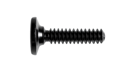 Black screw with a rounded head