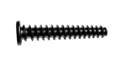 Black screw with a round head