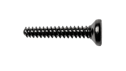 Black screw with sharp point