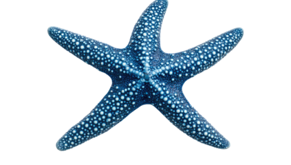 Vibrant blue starfish, intricate detail