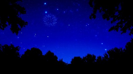 Fireworks display over trees at night