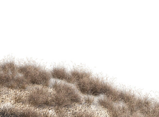 dry grass growing on cracked ground 