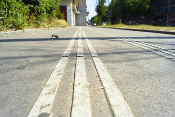 Human-сentered design: tactile lines on pavement for safe walking of visually impaired people....