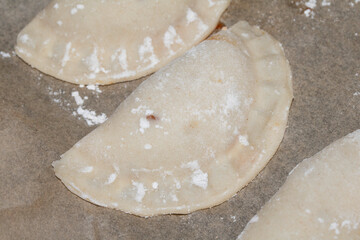 Close up of home made Chinese dim sum dumplings Jiaozi or Gyoza on bakking tray ready to be fried
