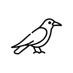 Hand drawn crow bird line art illustration graphic design